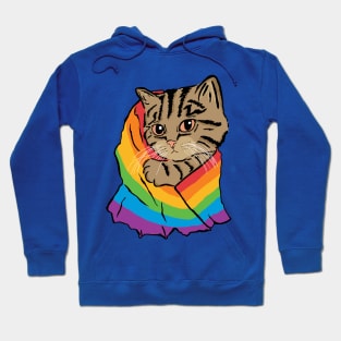 Cat with a Rainbow Pride Flag Hoodie